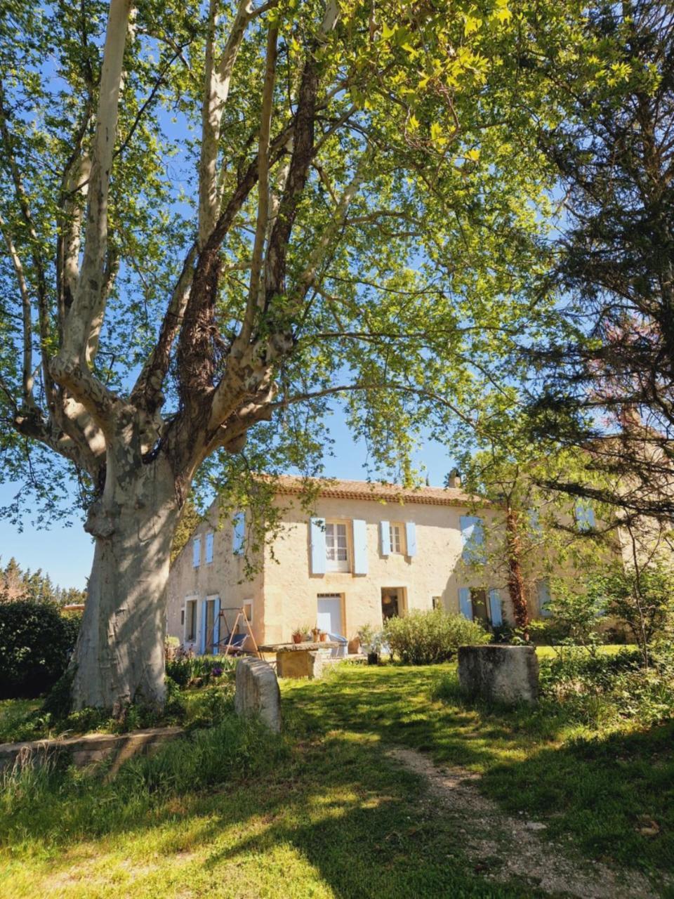 Ancien Mas Du Moulin Bed & Breakfast Eygalières Dış mekan fotoğraf