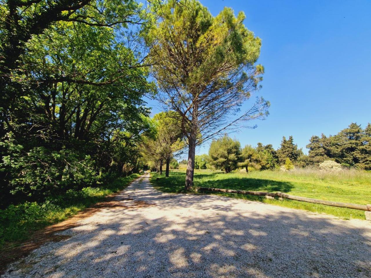 Ancien Mas Du Moulin Bed & Breakfast Eygalières Dış mekan fotoğraf
